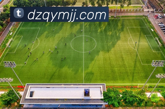 爱游戏体育平台生态图
